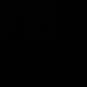 Meet your Posher, Celeste